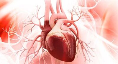 Old Age No Bar to Successful Heart Transplant, Study Finds